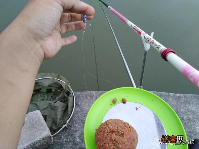 流水钓鱼,加拉丝粉还是玉米粘粉好？