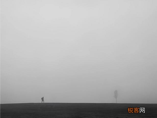 请问努比亚系列手机怎么样？近期销声匿迹了呢？