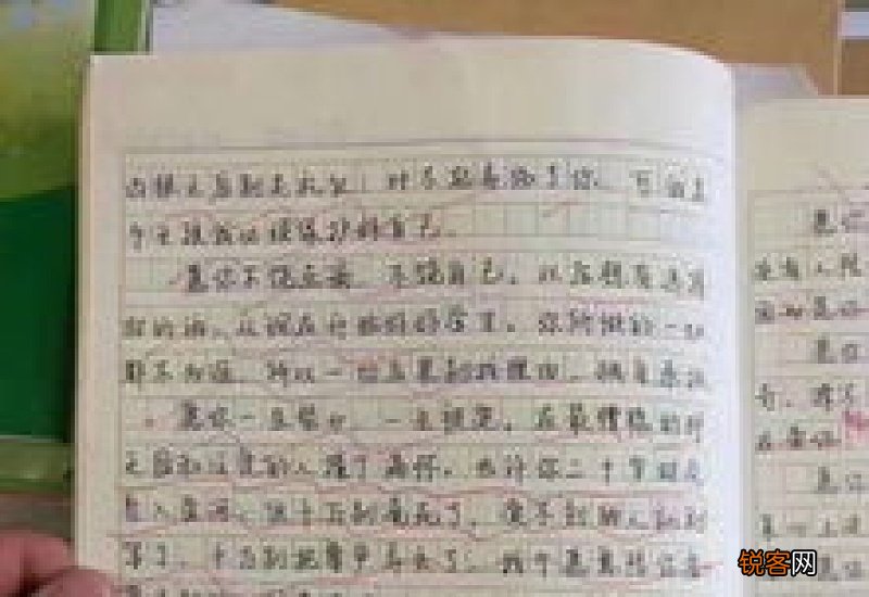 勾勒生活的初二作文开头