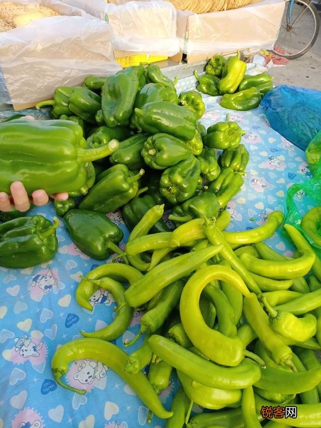 乡下有7亩地,想投资4万块,搞种植种什么能一年赚10万？