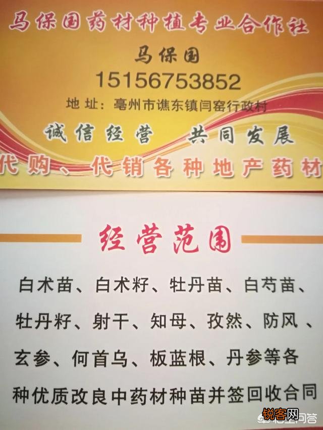 种植中药材知母能赚钱吗？