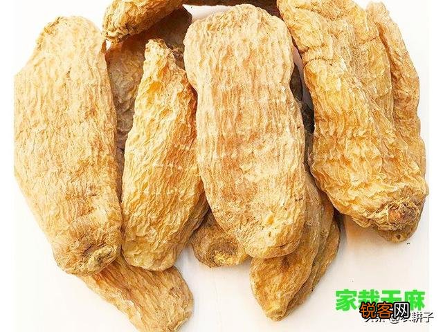 种植中药材有没有投资小、亩收入过万元的品种？栽培技术是什么？