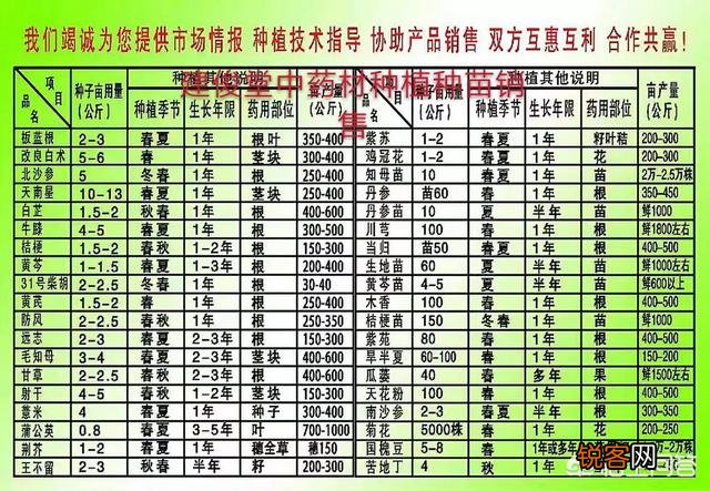 2019年种什么药材最挣钱？