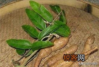 种什么药材最好卖？