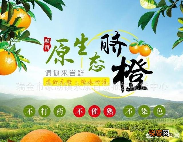现在农村种什么收益最好？
