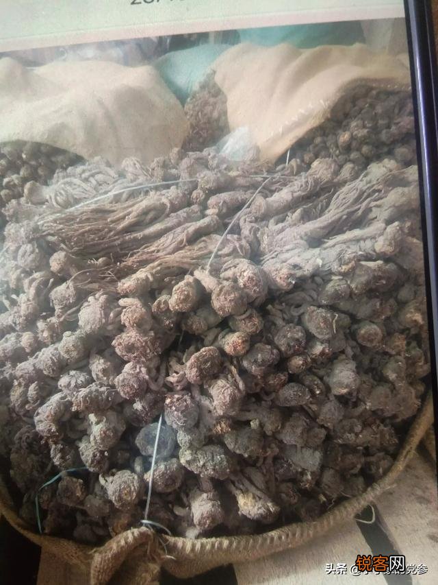 承包土地,种中草药能赚钱吗？本钱大概要多少？
