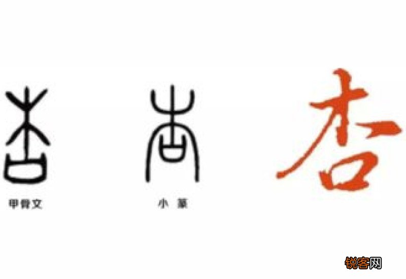 杏组词_杏的组词_杏怎么组词
