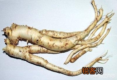 哪一种中药材种植效益最佳,风险最低？