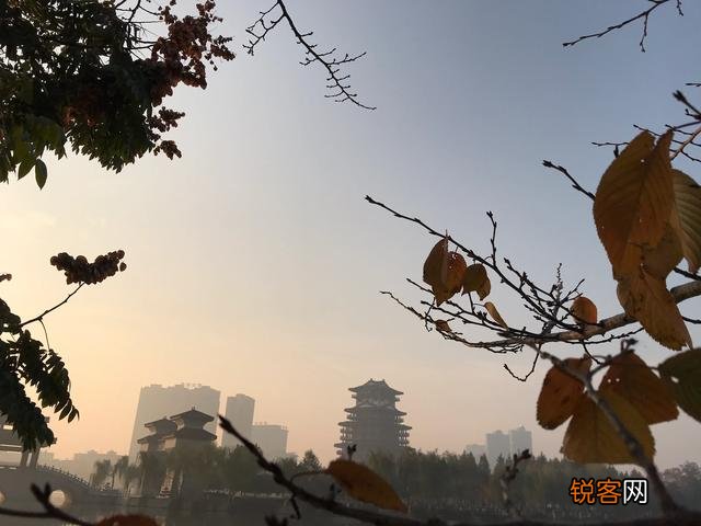 分析《死水》是如何体现新月派诗歌理论主张的？