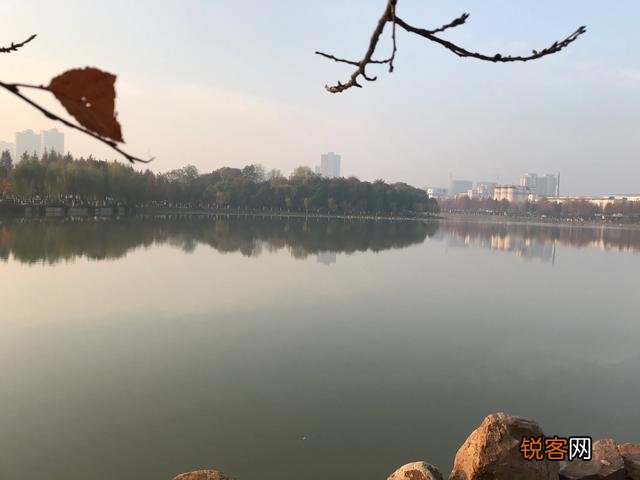分析《死水》是如何体现新月派诗歌理论主张的？