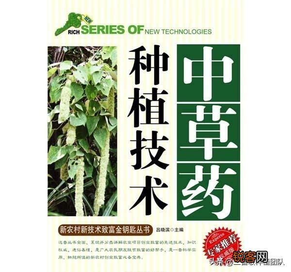 农民种植中药材,如何能赚到钱？