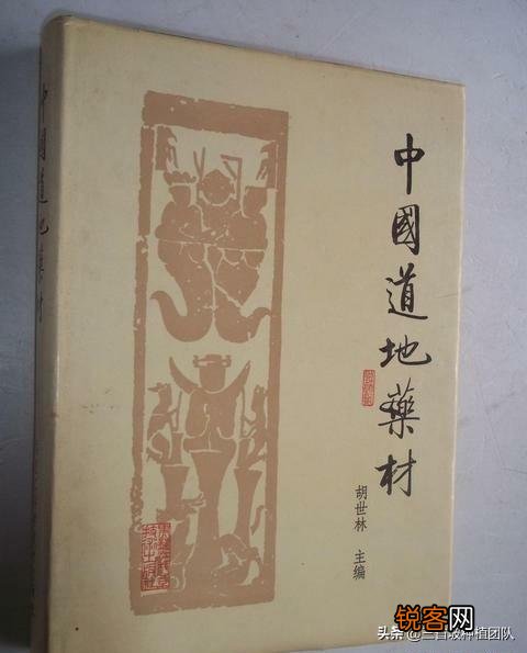 农民种植中药材,如何能赚到钱？