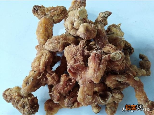 什么药材好种又好销售？