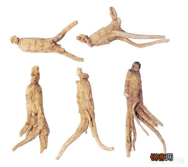 种植药材真的很赚钱吗？