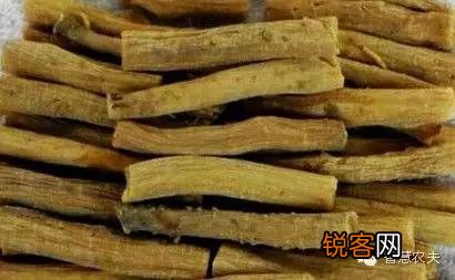 现在种植什么药材能够赚钱？