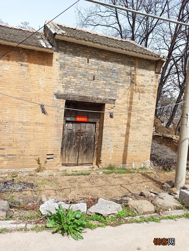 老话说：“家兴出恶犬,家败生瓦松”,“瓦松”是什么东西？
