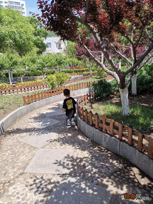 你们谁家宝宝吃的国产奶粉呢？
