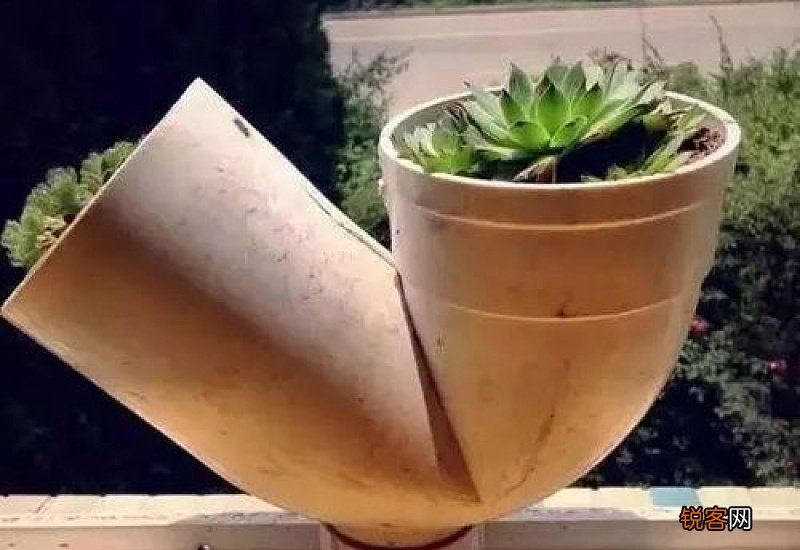 花泥养花好还是花瓶养花好