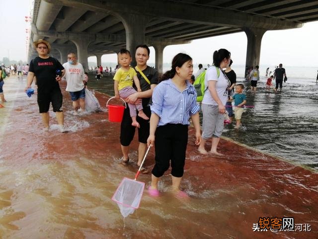 现在天气炎热,石家庄哪有适合游玩的地方呢？
