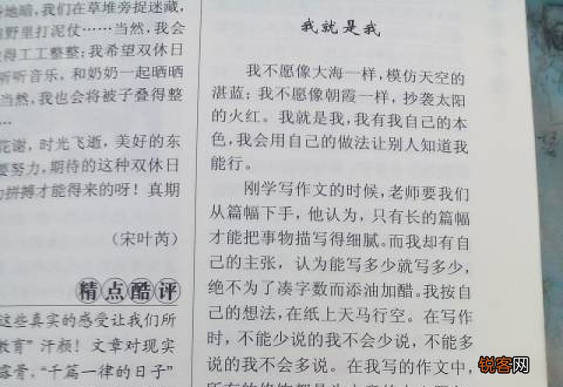 我的偶像七年级500字作文