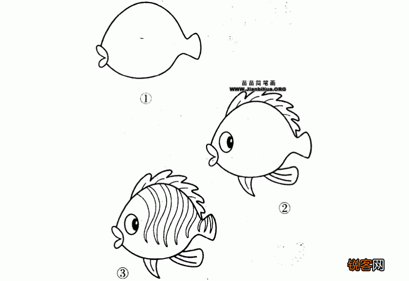简笔画小鱼图文教程