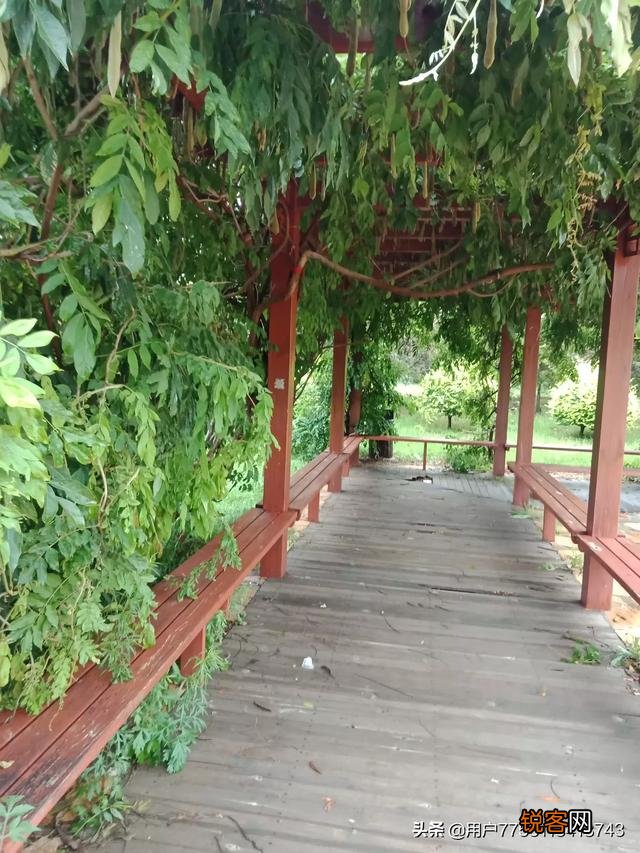 古代和现代,你姓氏里最出名的人物是谁？