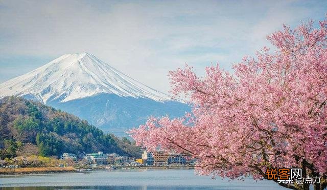 日本和以色列作为亚洲乃至世界顶尖发达国家,但哪一个更厉害？