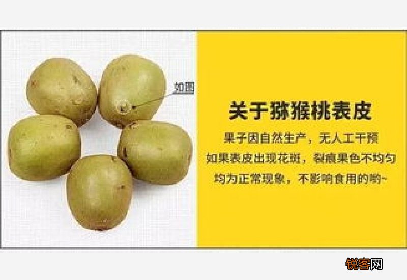 猕猴桃买大果还是中果