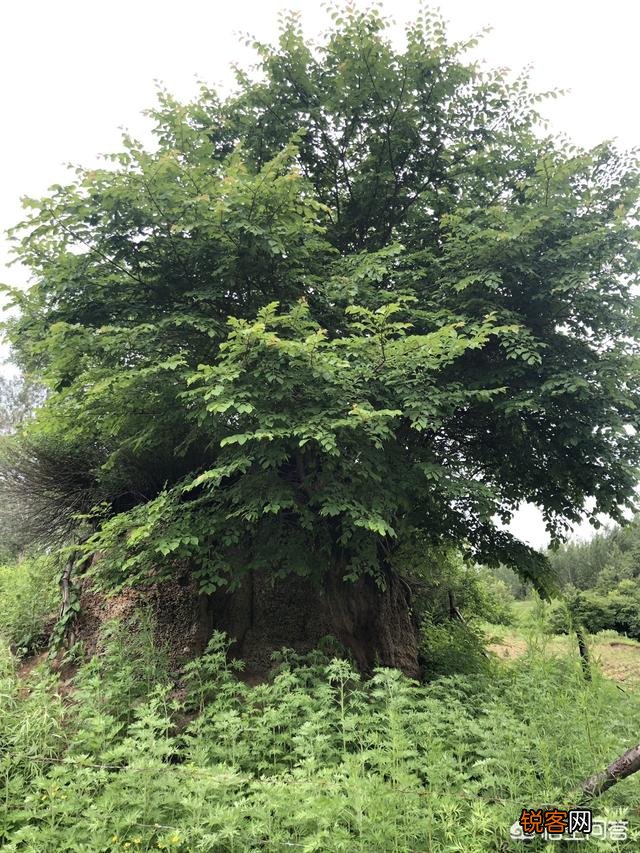 石家庄人少景美的自然风光的地方有哪些？