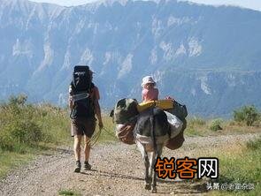 春节放假期间,从石家庄去哪玩比较好,有推荐的吗？