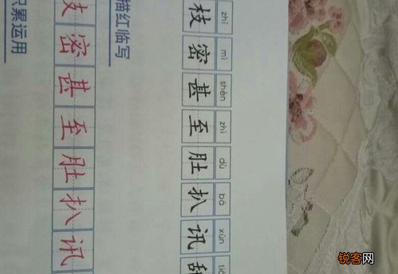 伍组词_伍的组词_伍怎么组词