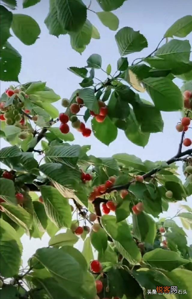 五一想带孩子游玩,河北石家庄周边哪个景点最适合啊？