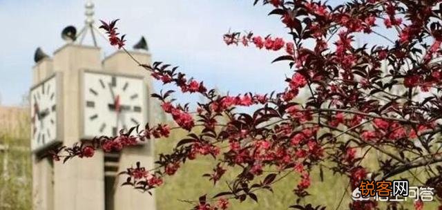 石家庄铁道大学怎么样？