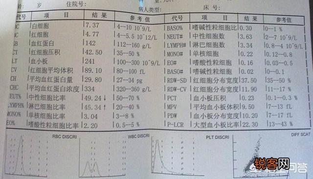 体检中的血液检验报告单重点应关注哪些项目？