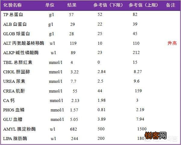 体检中的血液检验报告单重点应关注哪些项目？