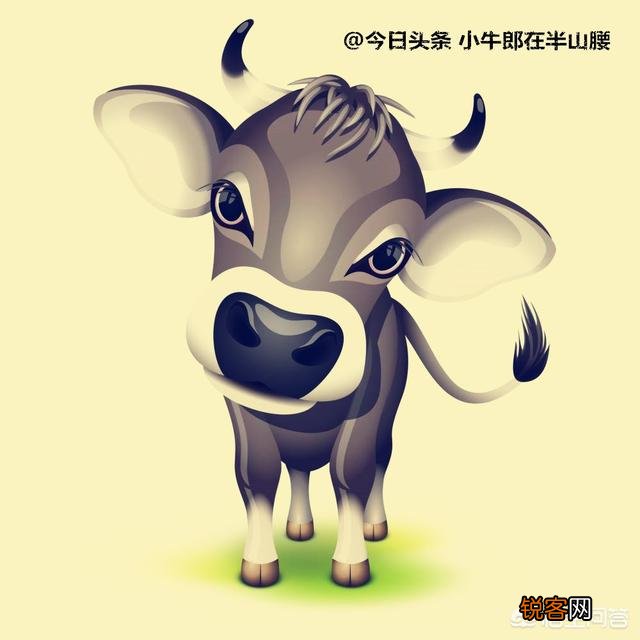 一个大学生如何从刚出社会到自行创业呢？拥有的人脉又如何正确经营？
