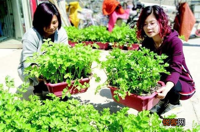 一个大学生如何从刚出社会到自行创业呢？拥有的人脉又如何正确经营？