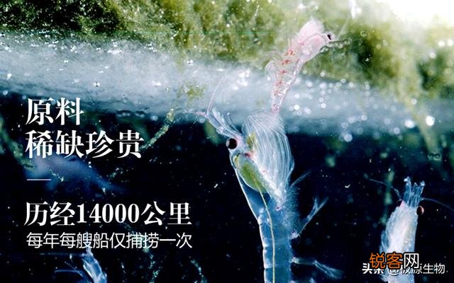 NMN补充剂到底是不是智商税啊？听说没有临床试验吗？