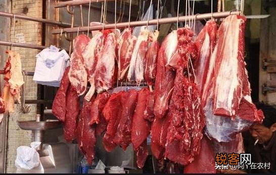 万科为什么养猪？
