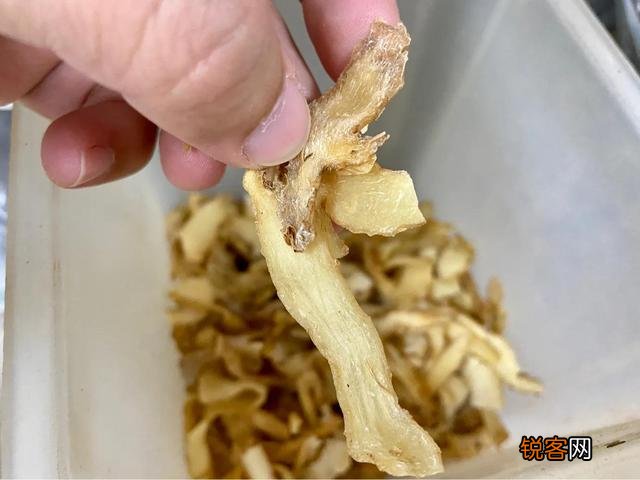 玉竹有什么功效？