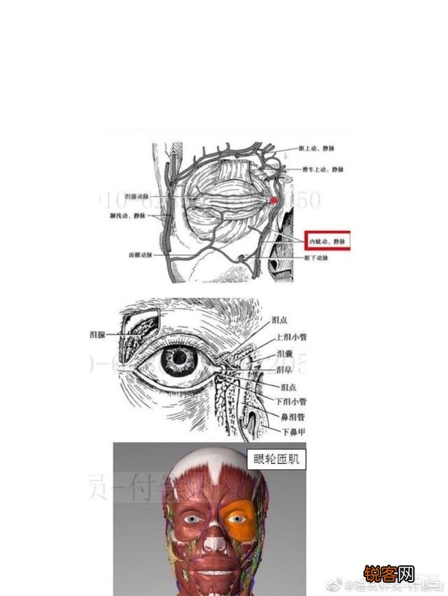 得了干眼症,该怎么护理？