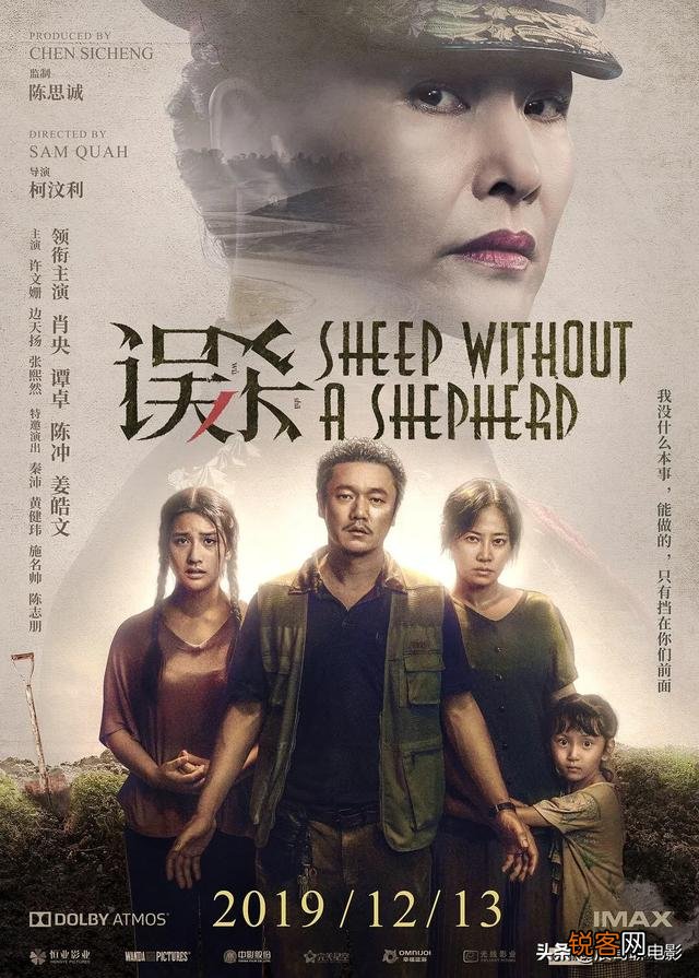 求推荐类似《边境风云》《白日焰火》《李米的猜想》《烈日灼心》的电影,有哪些？