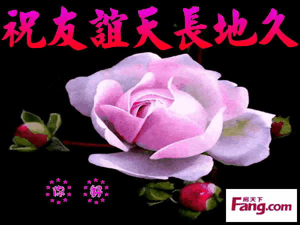 在头条为什么你关注了对方,而对方不关注你,这是什么心态？