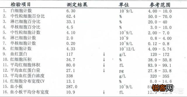 血常规能看出哪些问题？