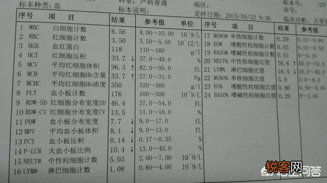 血常规能看出哪些问题？