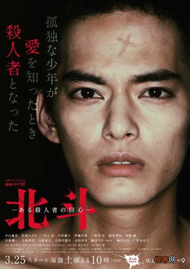 有什么和白夜追凶一样好看的探案剧？