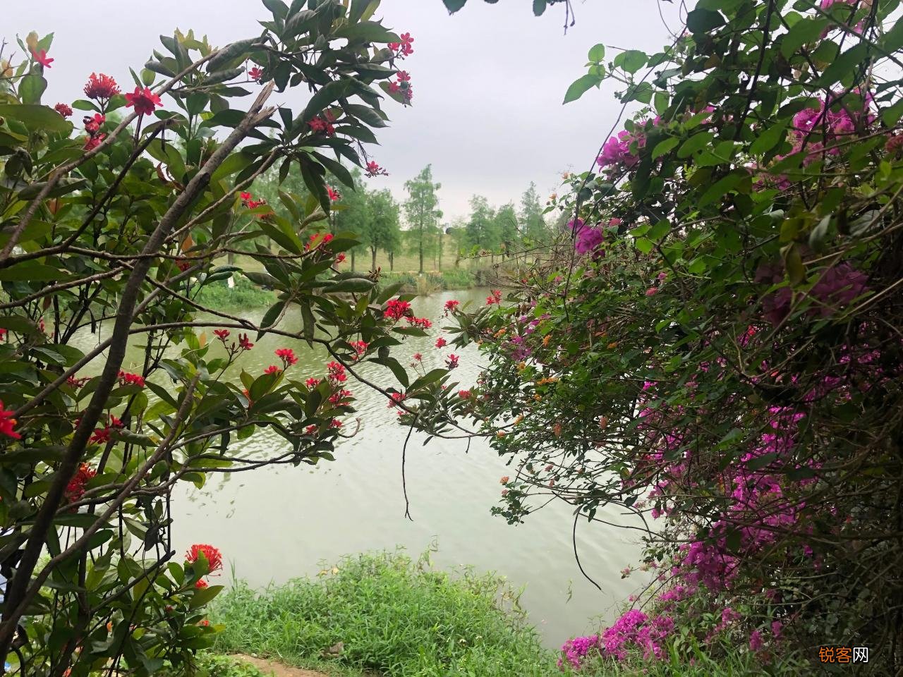 广州免费钓鱼地方推荐 广州免费钓鱼地点50个