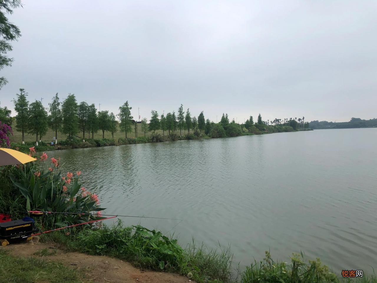 广州免费钓鱼地方推荐 广州免费钓鱼地点50个