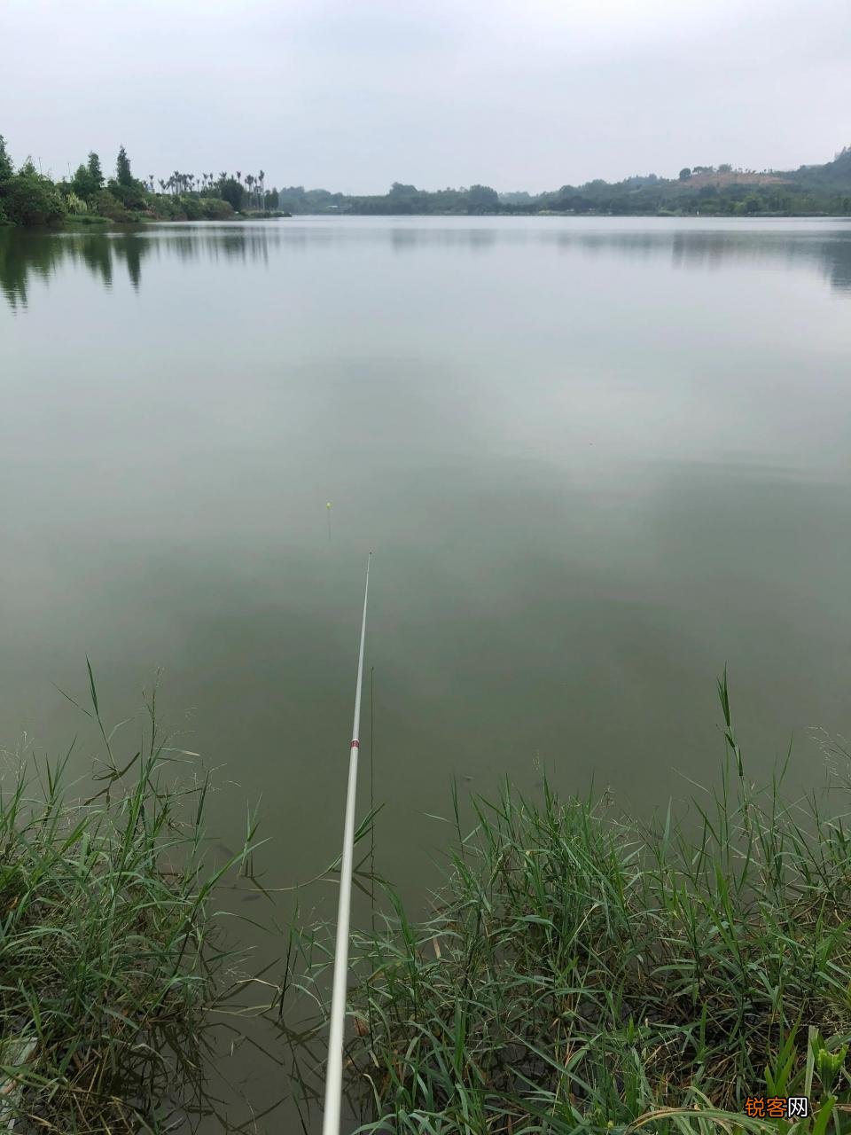 广州免费钓鱼地方推荐 广州免费钓鱼地点50个