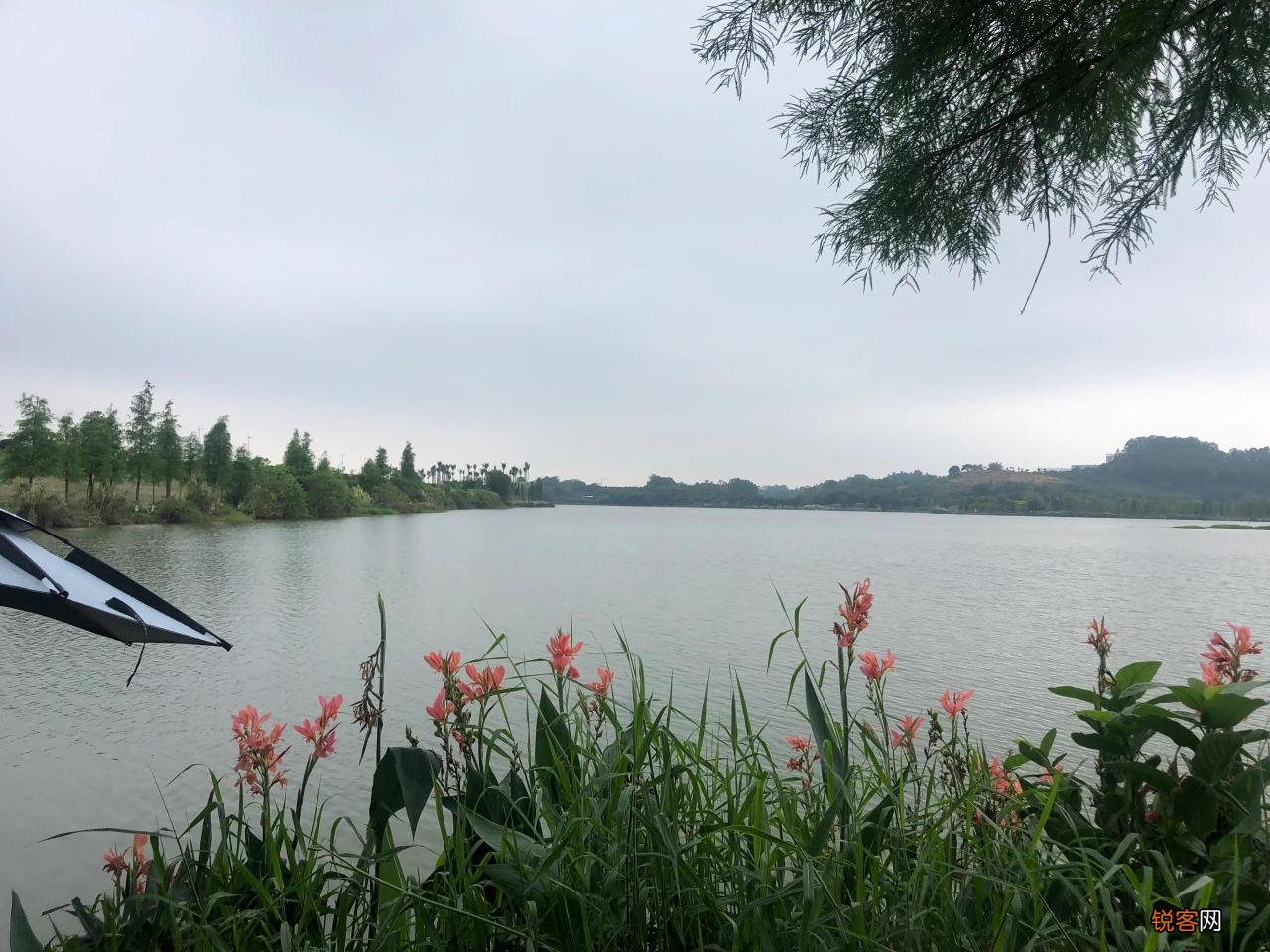 广州免费钓鱼地方推荐 广州免费钓鱼地点50个